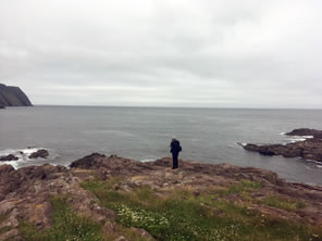 Photo of Logy Bay outcroppings